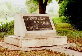 欧博在线平台- 这也行？风云突变里昂清晨调整名单尼斯再遭质疑备战全明星赛，塔图姆在德国队比赛中关键助攻